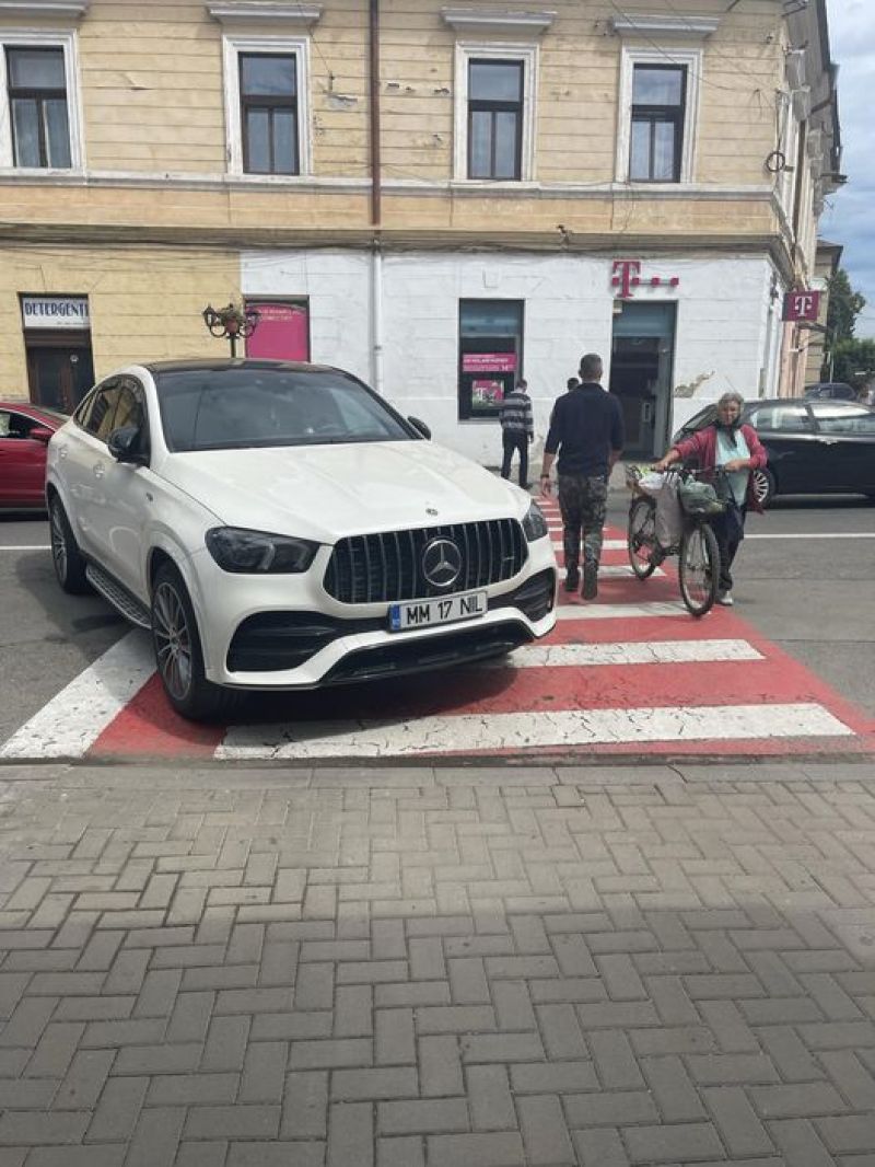 FOTO: TOP 10 „Ai parcat ca un bou - Sighetu Marmației” pentru anul 2022