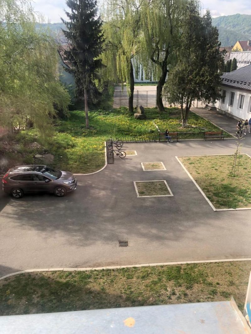 C.N. „Dragoș-Vodă” Sighet - Dacă autoritățile locale nu se implică, elevii clasei a V-a au plantat flori în curte