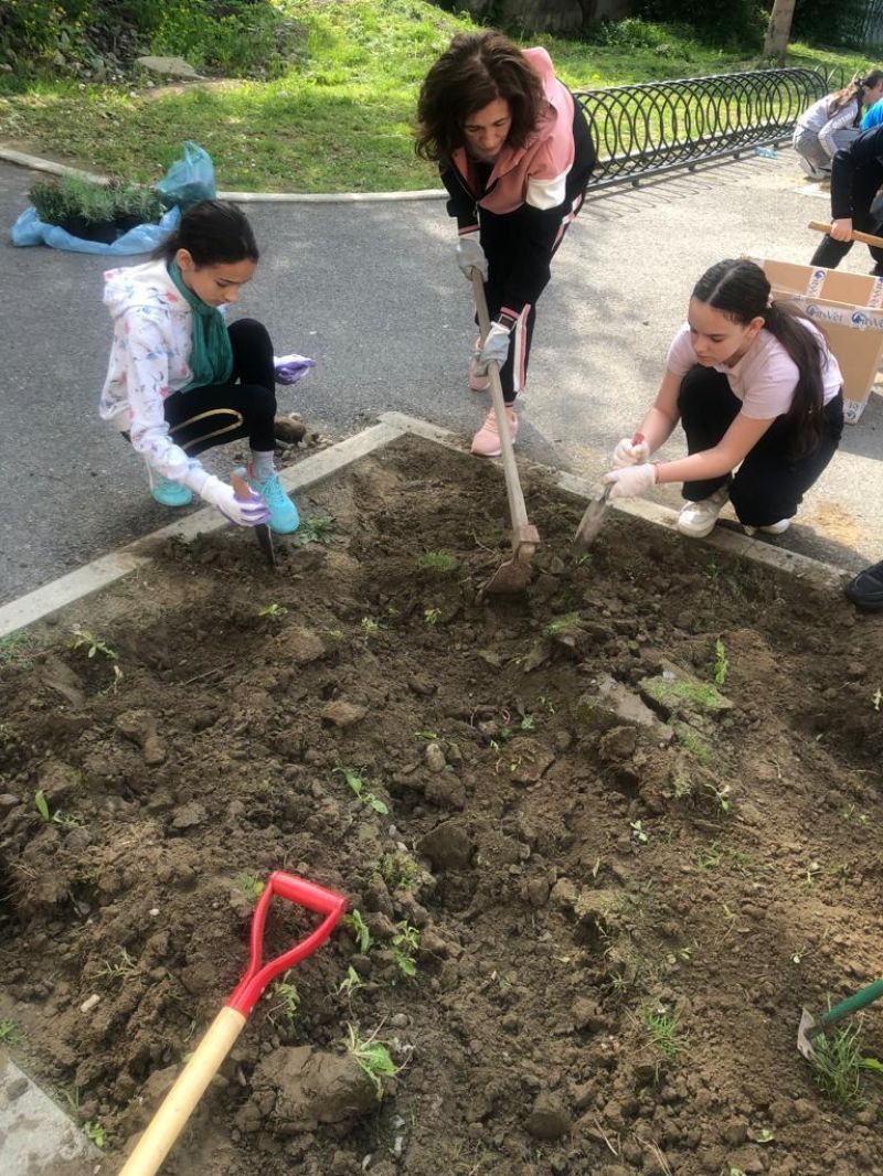 C.N. „Dragoș-Vodă” Sighet - Dacă autoritățile locale nu se implică, elevii clasei a V-a au plantat flori în curte