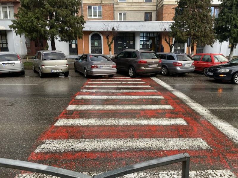 FOTO: TOP 10 „Ai parcat ca un bou - Sighetu Marmației” pentru anul 2022